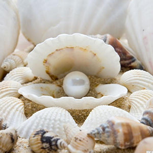 b0e1259c-c743-488b-a4f9-bdf52ce4c33c