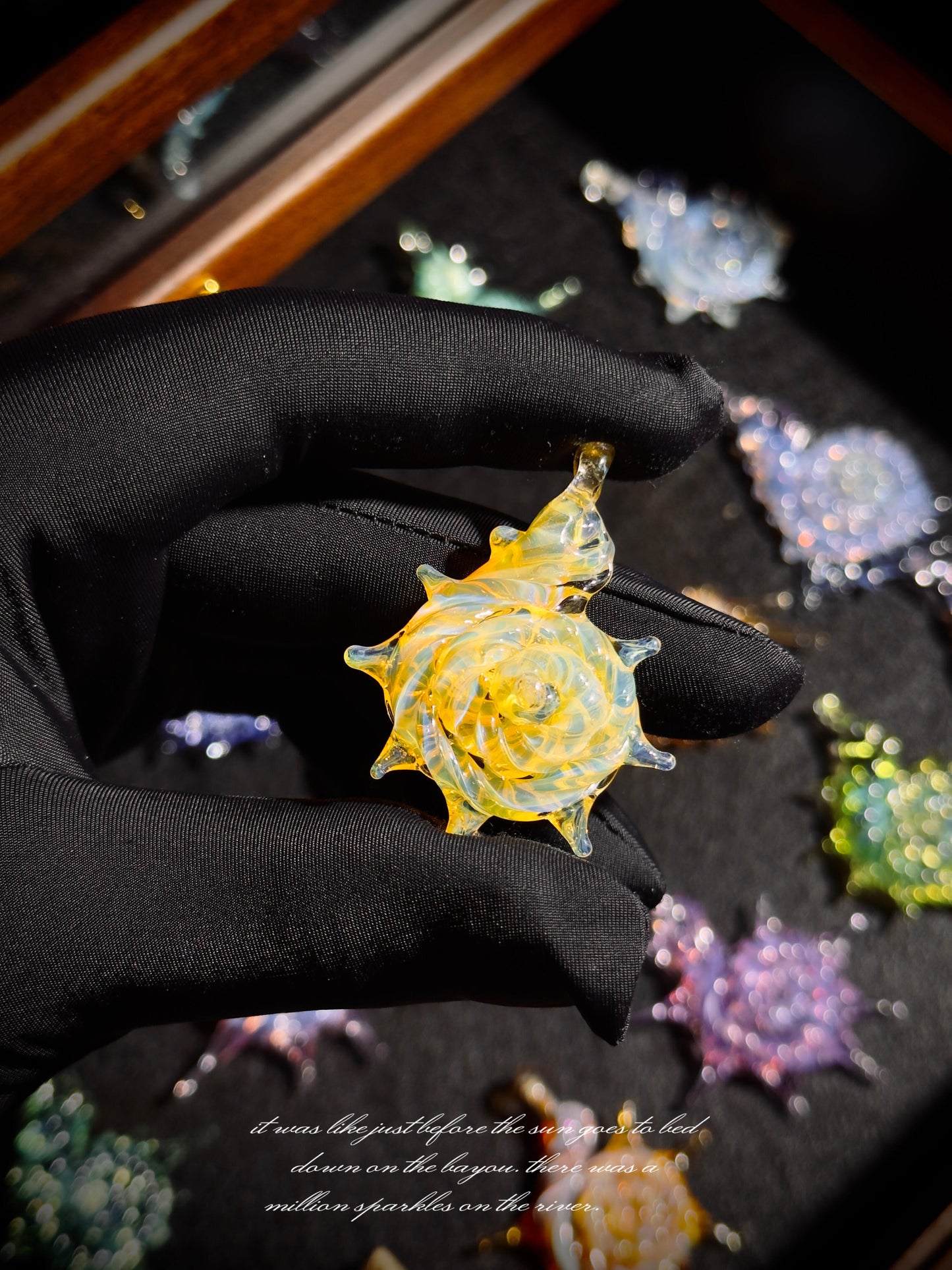 Deep Sea Secret Shells Collection