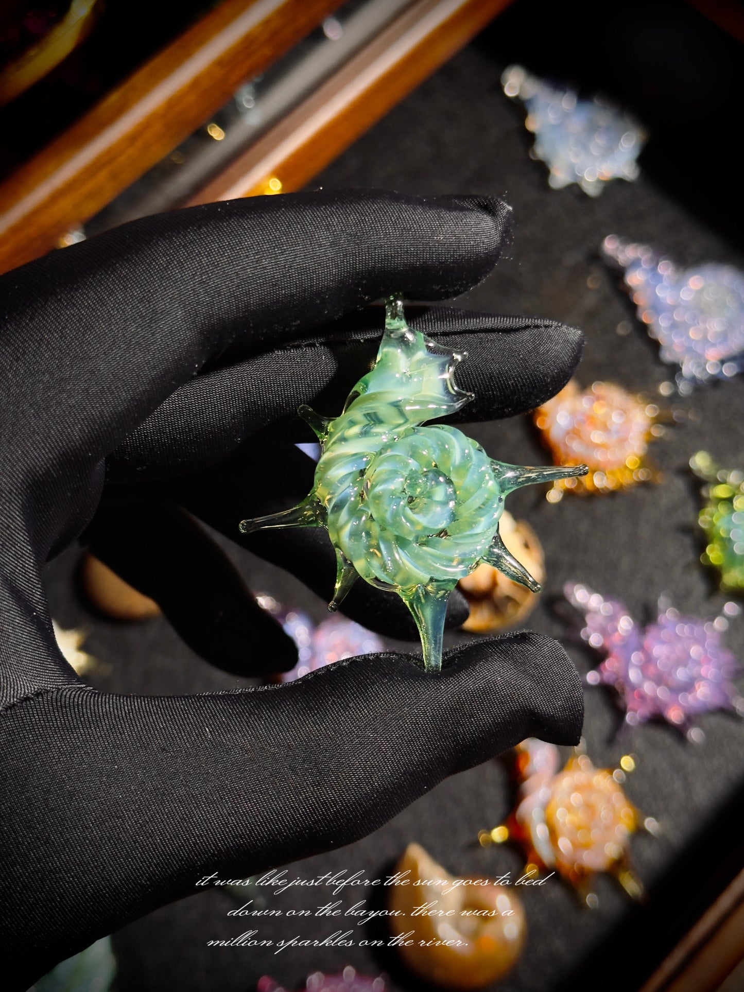 Deep Sea Secret Shells Collection