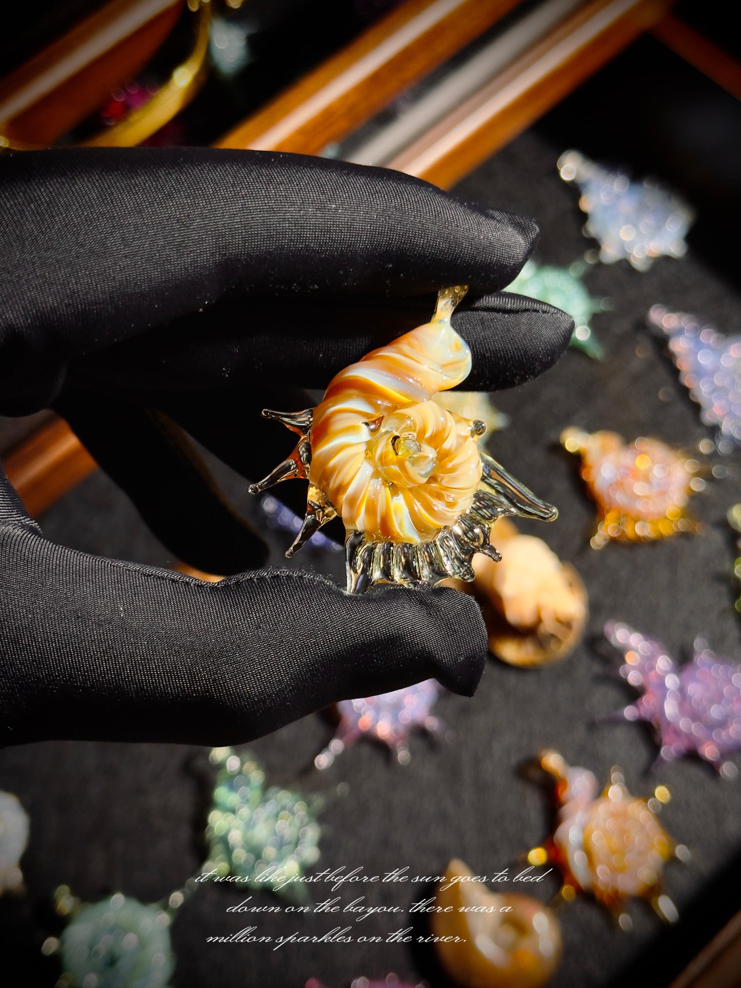 Deep Sea Secret Shells Collection