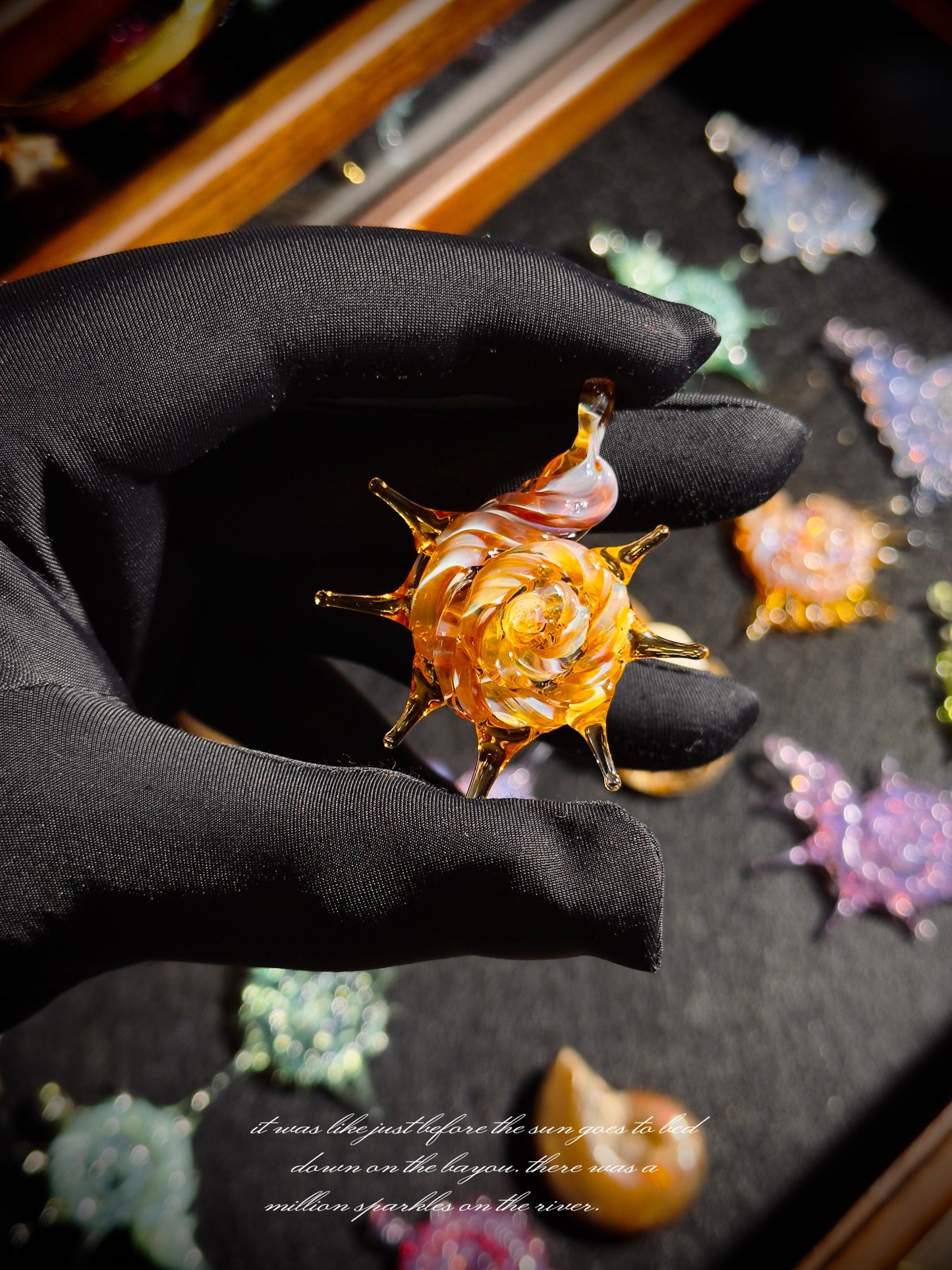 Deep Sea Secret Shells Collection