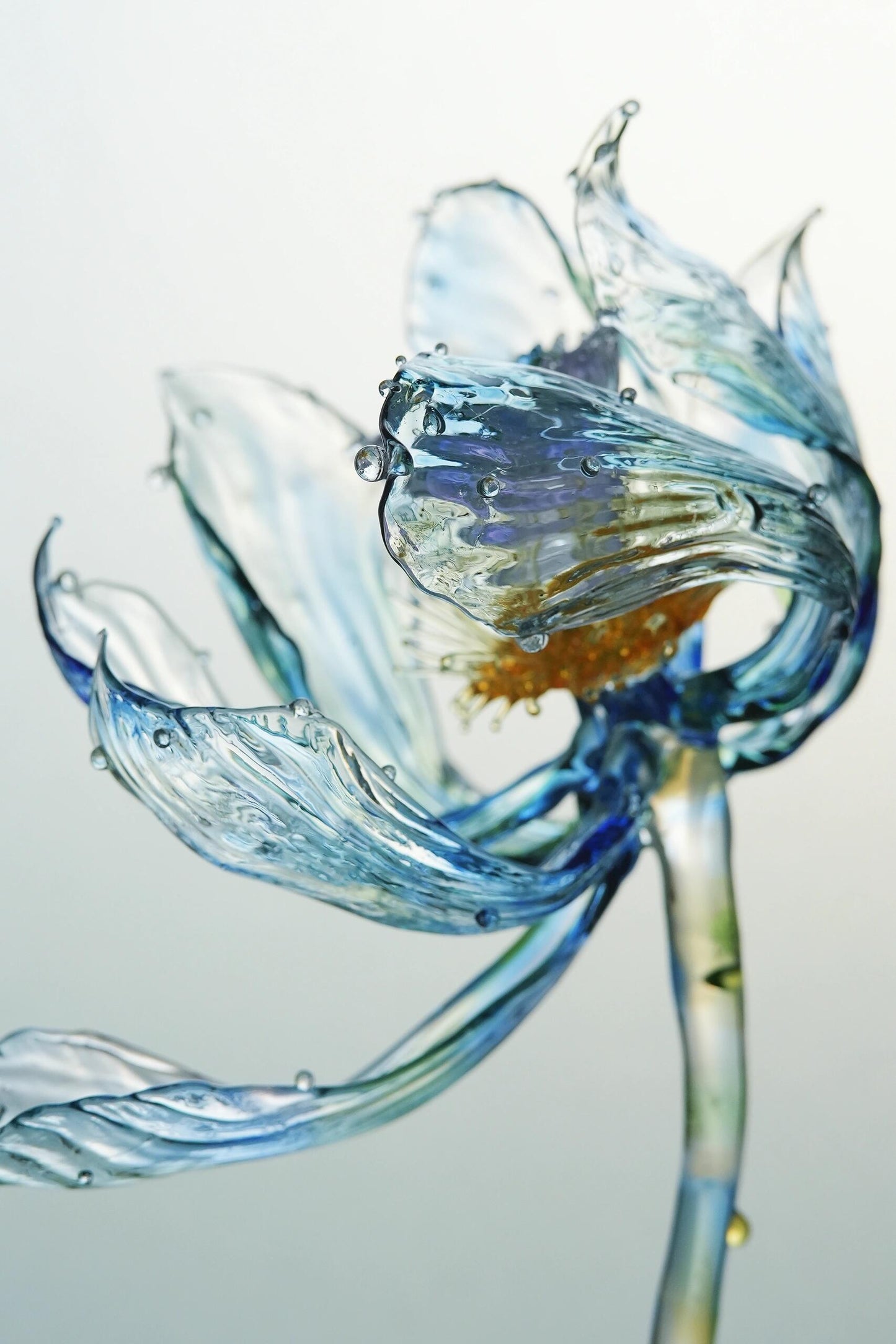 Glass Water Lily: Breath of the Deep Sea