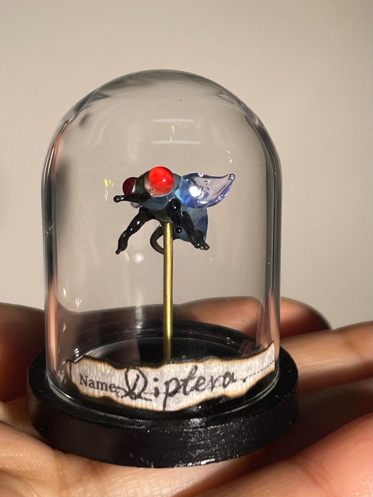 Glass Ghost Fly: Scarlet-Eyed Phantom