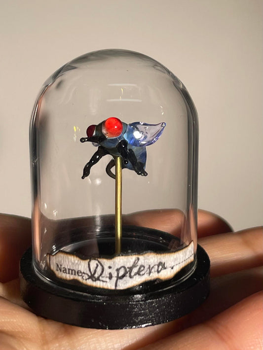 Glass Ghost Fly: Scarlet-Eyed Phantom