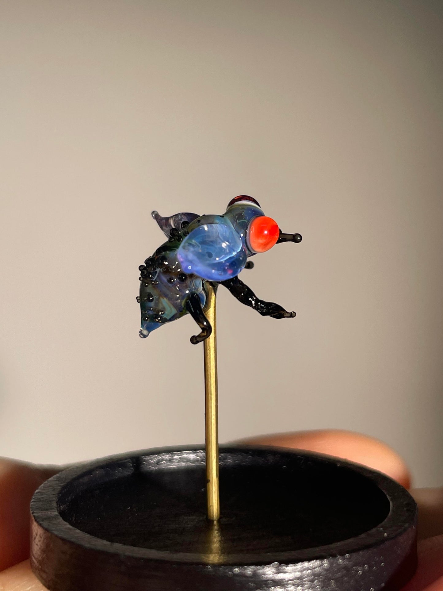 Glass Ghost Fly: Scarlet-Eyed Phantom
