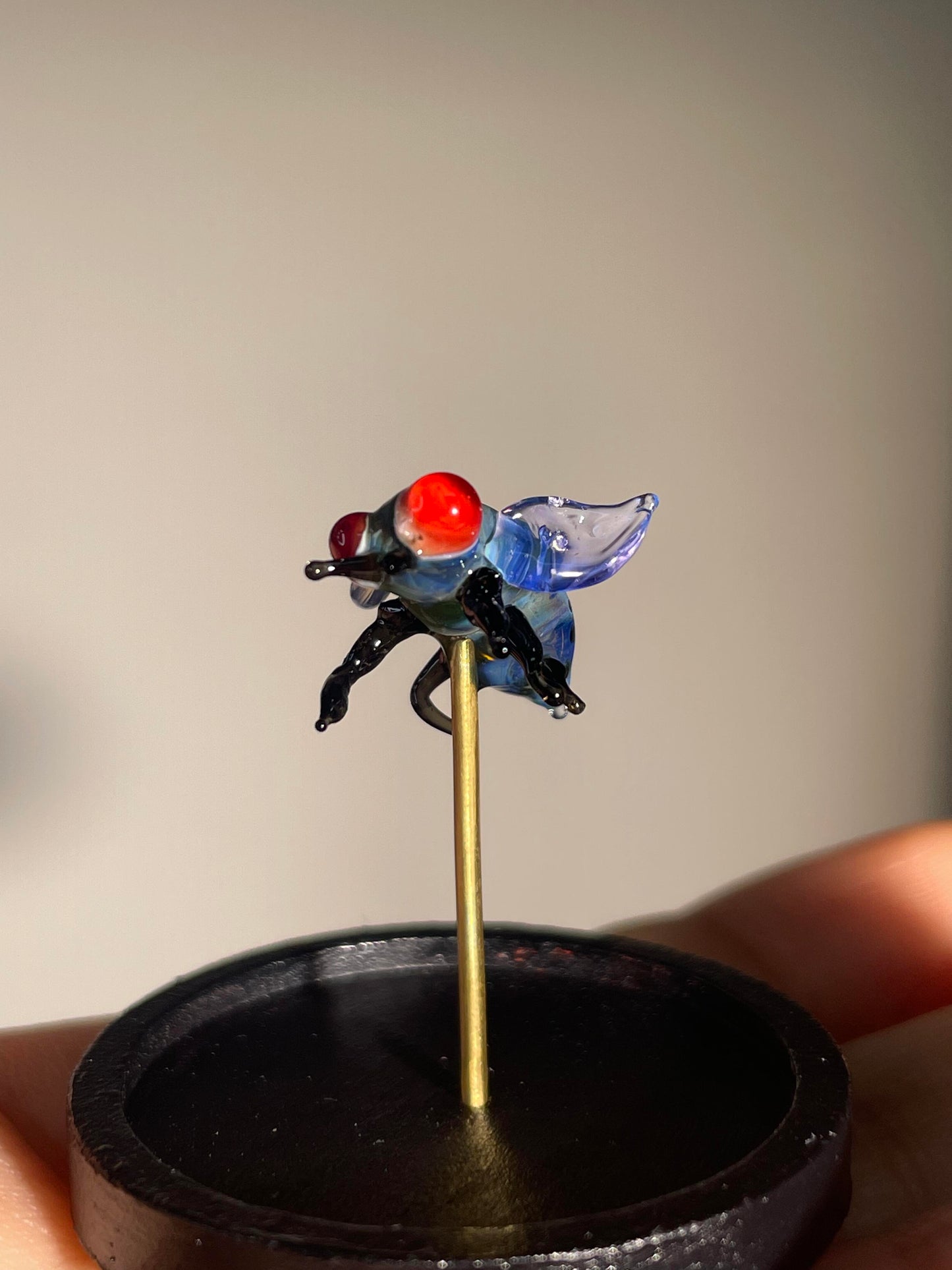 Glass Ghost Fly: Scarlet-Eyed Phantom