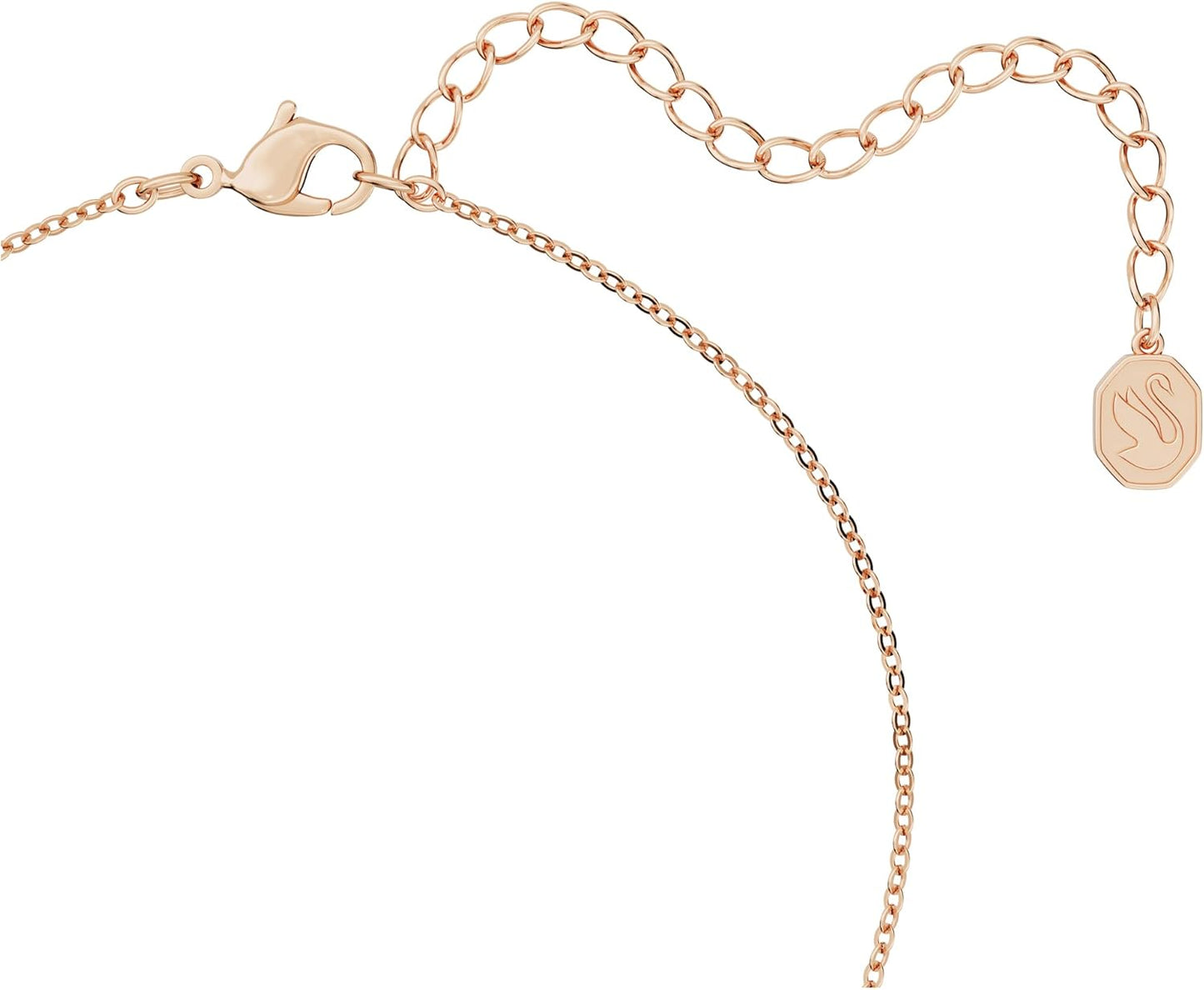 72d6e049-1c52-4e16-814a-cb881d79610f